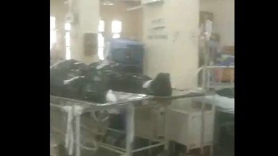 COVID-19: BMC to probe viral video showing patients lying next to dead bodies at Sion hospital