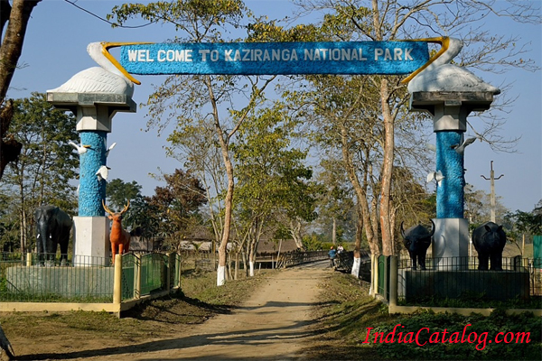 Kaziranga National Park