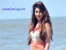 Sonarika Bhadoria