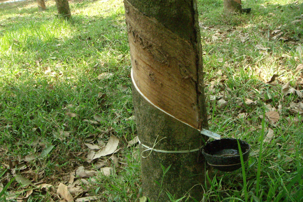 Avt Natural Products Ltd Address Avt Natural Products Ltd Address