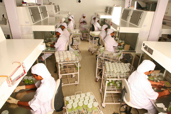 Avt Natural Products Ltd Address Avt Natural Products Ltd Address