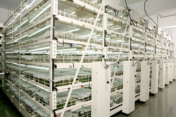Avt Natural Products Ltd Address Avt Natural Products Ltd Address