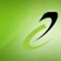Amara Raja Electronics Pvt. Ltd