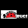 Animation Bugs