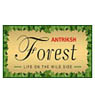 Antriksh Forest