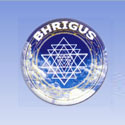 Bhrigus Software India Pvt. Ltd