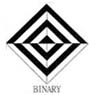 Binary Software Solutions
