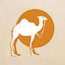 Camelon Exports
