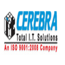 Cerebra Integrated Technologies Ltd.