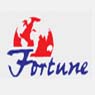 Fortune TechnoComps P. Ltd.