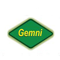 Gemni Engineers