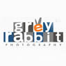 Grey Rabbit Photography