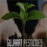 Gujarat Pesticides