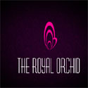 The Royal Orchid