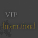 Hotel Vip International