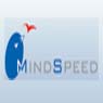 MindSpeed Integrated Solutions Pvt. Ltd.