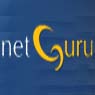 netGuru Inc.