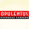 Opulentus – The Visa Company