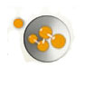 Patel Industries