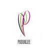 Pudumjee Pulp & Paper Mills Ltd