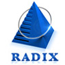 Radix Web