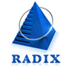 Randix