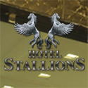 Hotel Stallions	