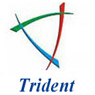 Tridents Infosol Pvt. Ltd