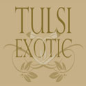 Tulsi Exotic